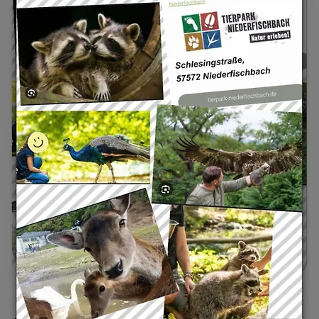 Διαμέρισμα Am Siegerlaender Hoehenweg Niederfischbach