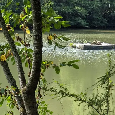 Am Siegerlaender Hoehenweg * Niederfischbach