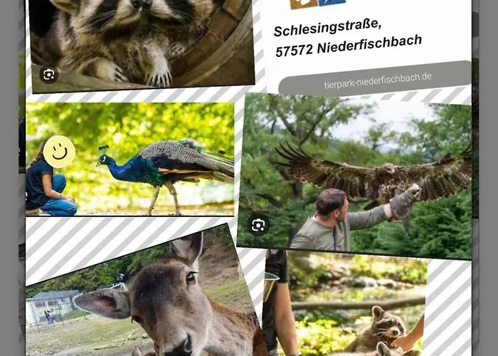 דירה Am Siegerlaender Hoehenweg Niederfischbach