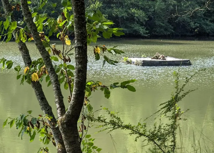 Am Siegerlaender Hoehenweg * Niederfischbach
